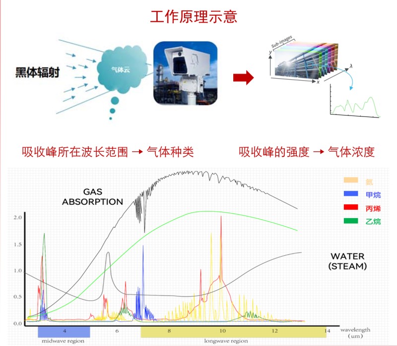 微信图片_2026-07-28_163924_672.jpg
